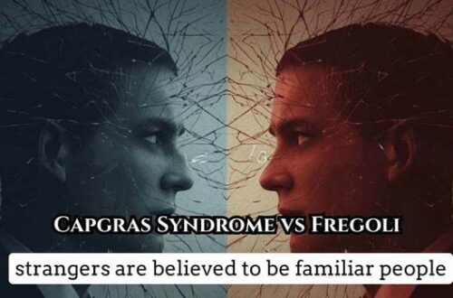 Capgras syndrome vs Fregoli