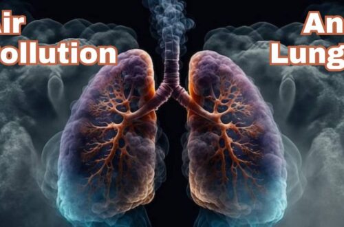 Air pollution and lungs