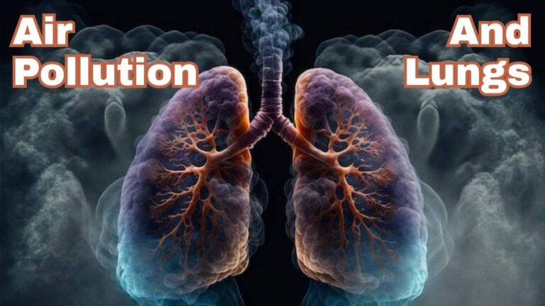 Air pollution and lungs