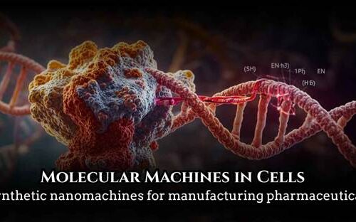 molecular machines in cells