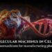 molecular machines in cells