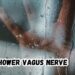cold shower vagus nerve