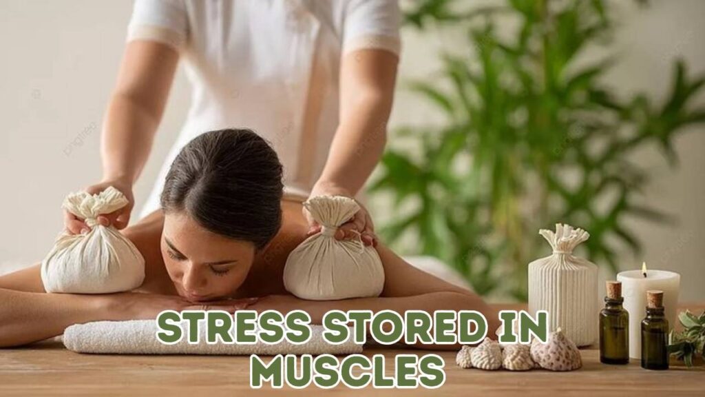 Stress stored in muscles