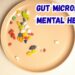 gut microbiome mental health