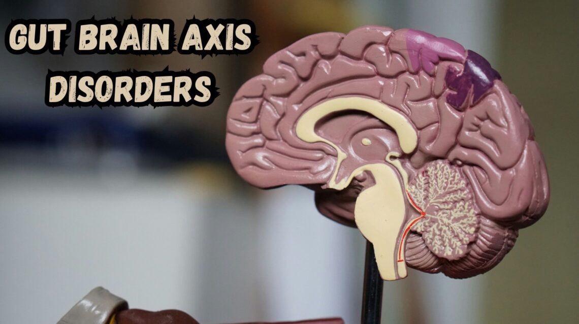 gut-brain axis disorders