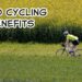 Seed cycling benefits