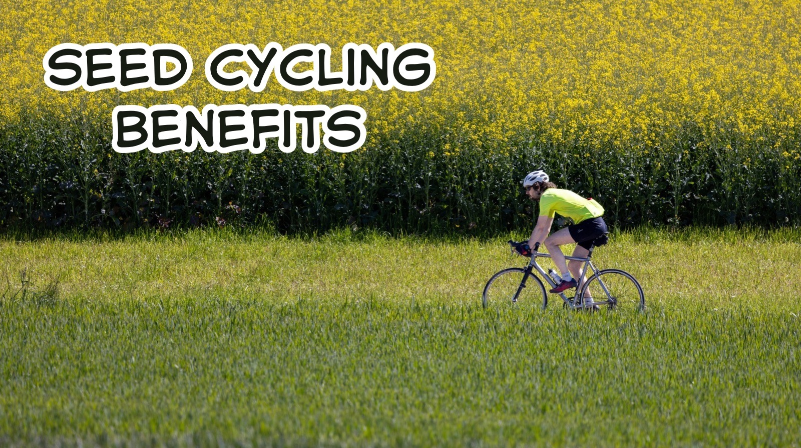 Seed cycling benefits