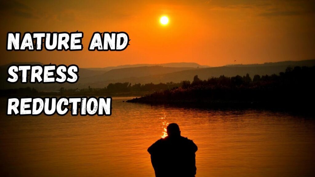 Nature and stress reduction 